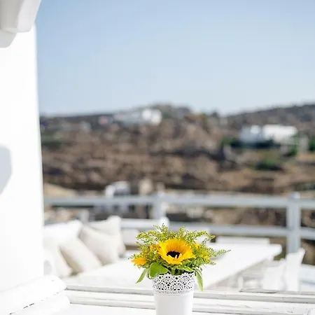 Aphrodite By Mykonos Pearls *